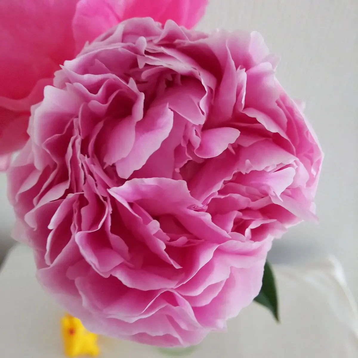 『整体ヘッドスパ』の画像_2