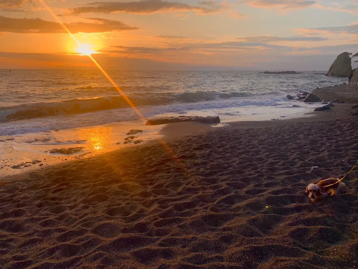 海　夕焼け　湘南　海散歩