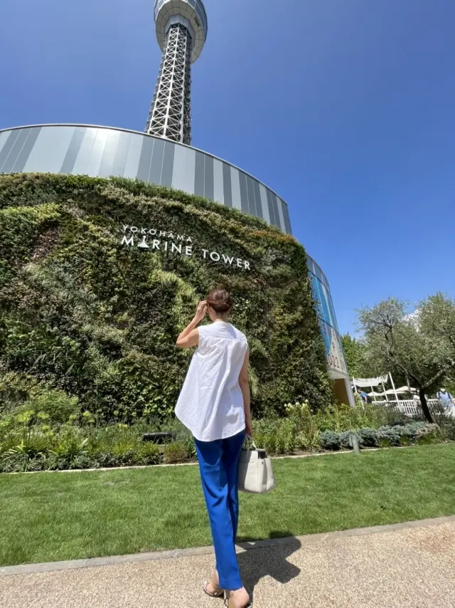 ブルーパンツで横浜新名所マリンタワーへ♡の画像_3