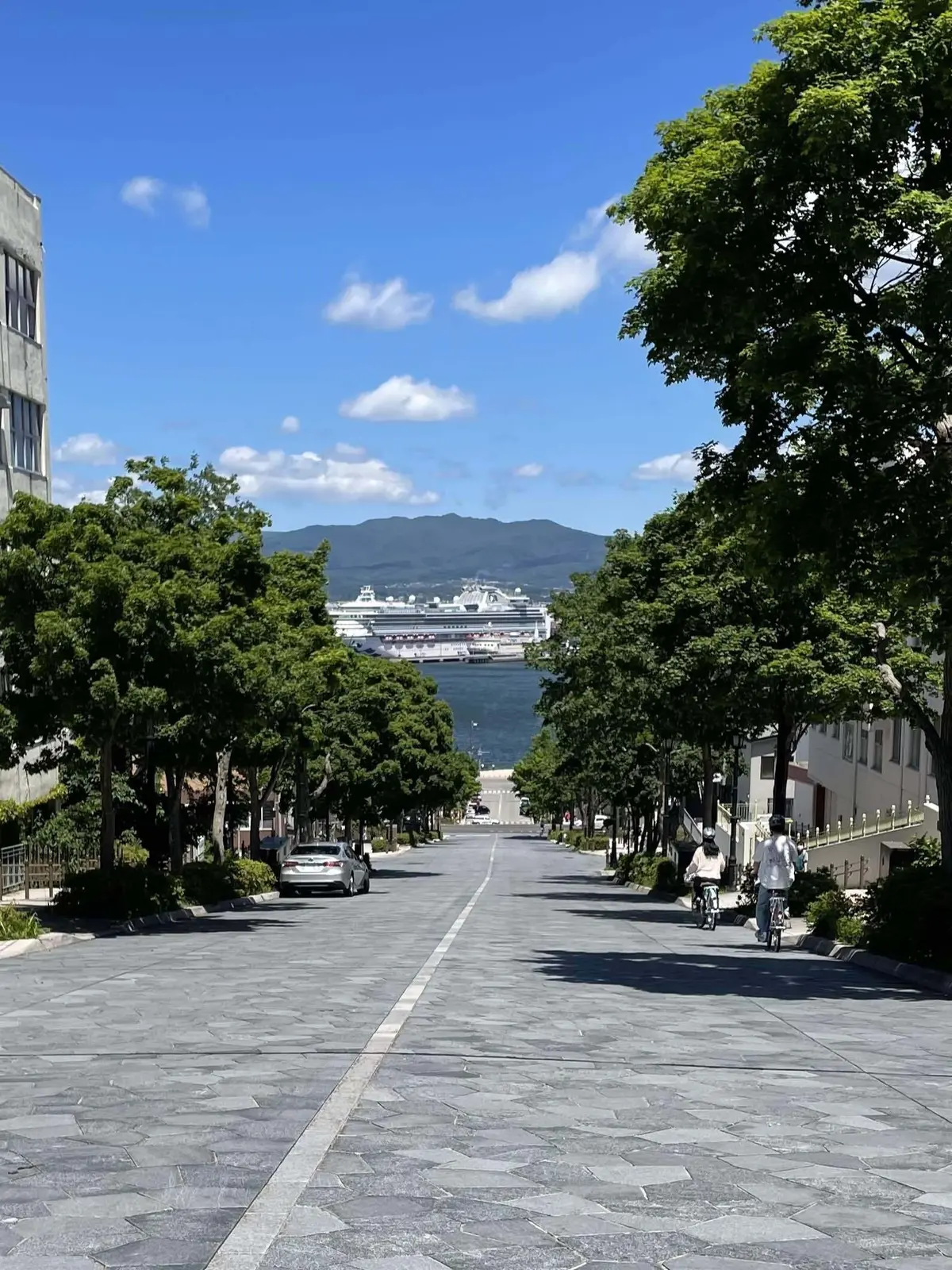 八幡坂、訪れたい坂日本一、函館湾、北海道、函館、並木道、坂道、晴れ、晴天、名所、観光、観光名所、ロケ地、映画、ドラマ、CM