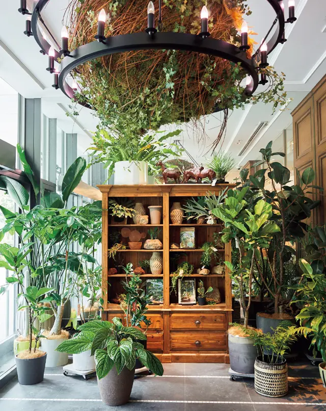 大きな植物も豊富