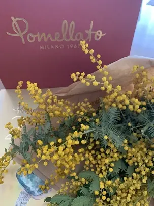 ポメラート×国際女性デー　カクテルパーテの画像_5