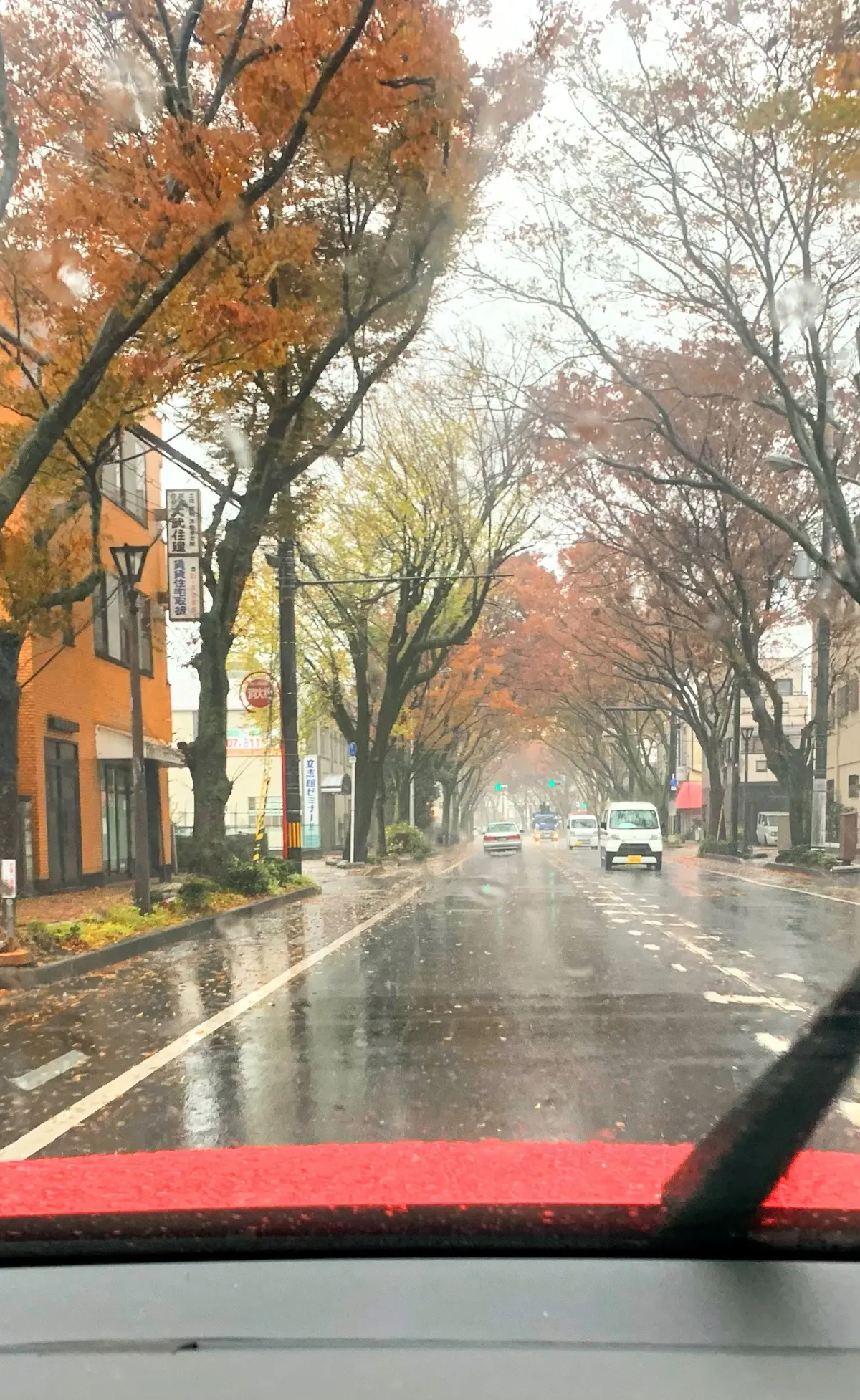 関西の紅葉真っ盛り楽しみました～　有馬温の画像_3