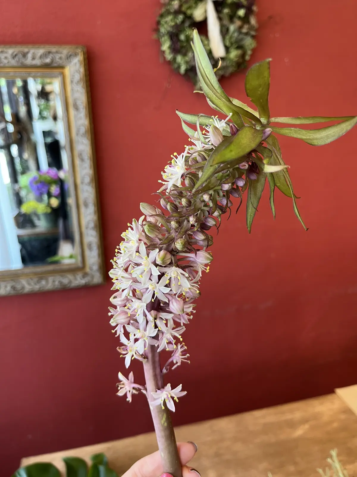 夏はやっぱり〝トロピカル〟なブーケでの画像_2