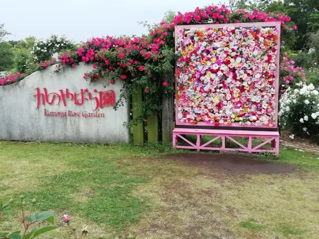 かのやばら園に到着です。可愛い！