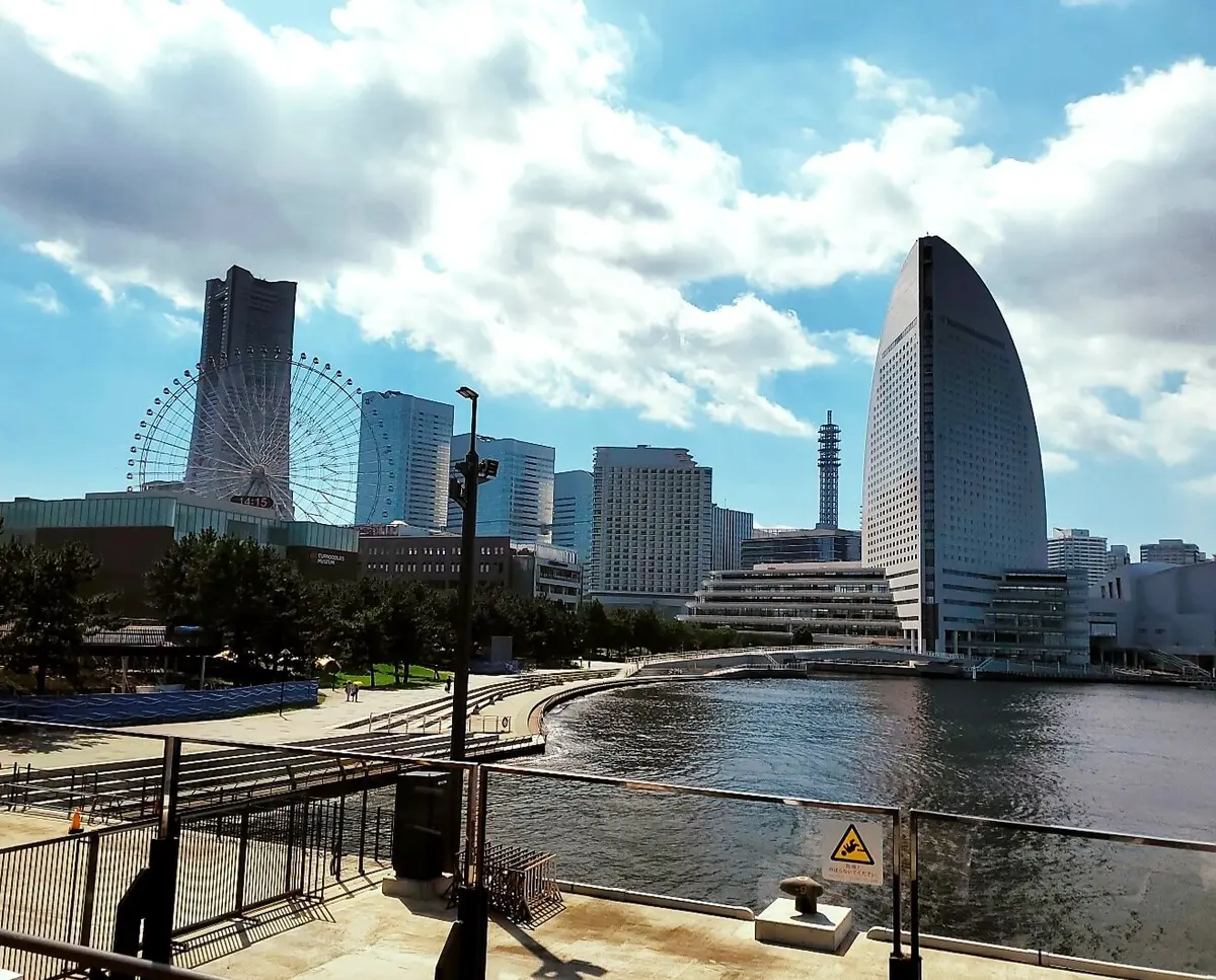 ホテル郡の景色