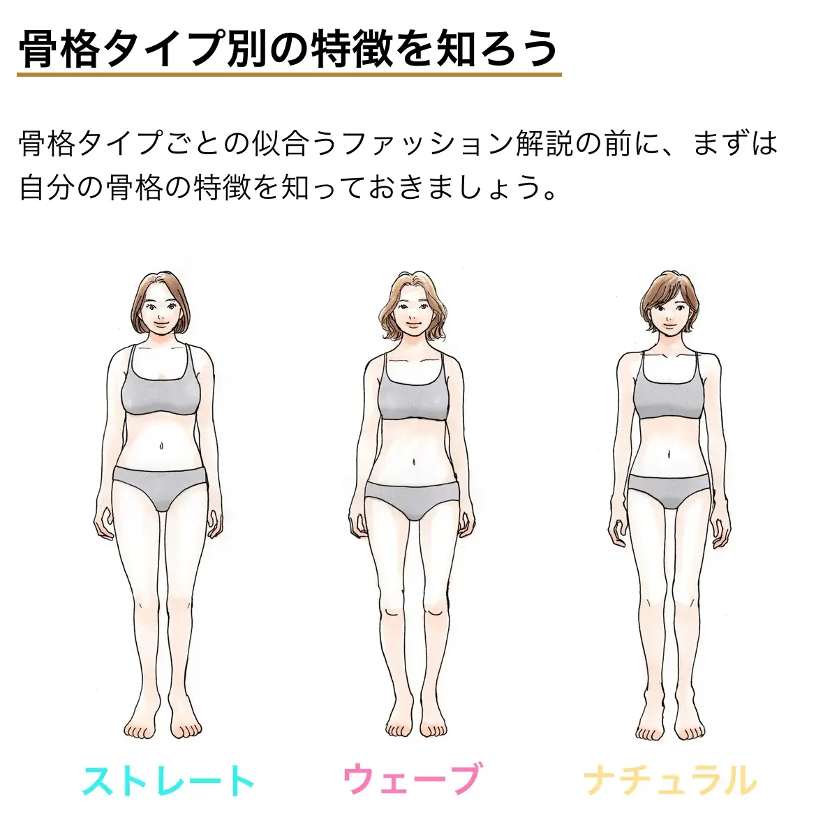 骨格診断３タイプ　体型イラスト