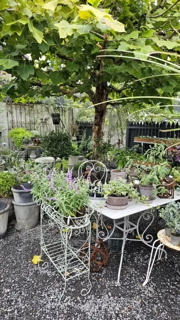 ガーデンズの画像_7