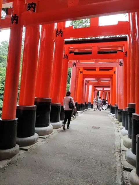 伏見稲荷大社の鳥居