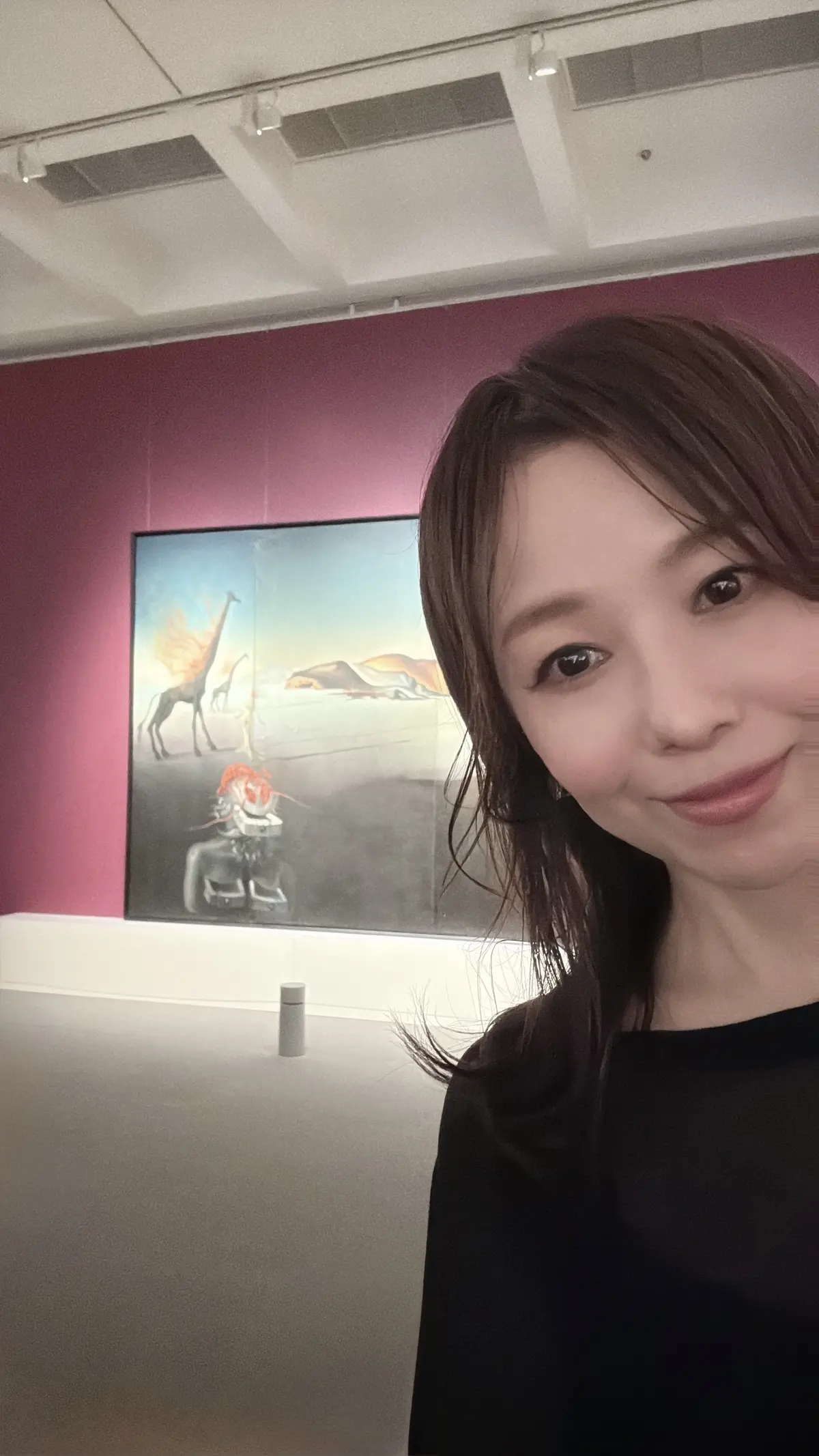 生誕120周年 サルバドール・ダリ展ー天の画像_4