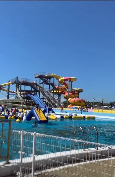 夏休みらしい日の画像_1