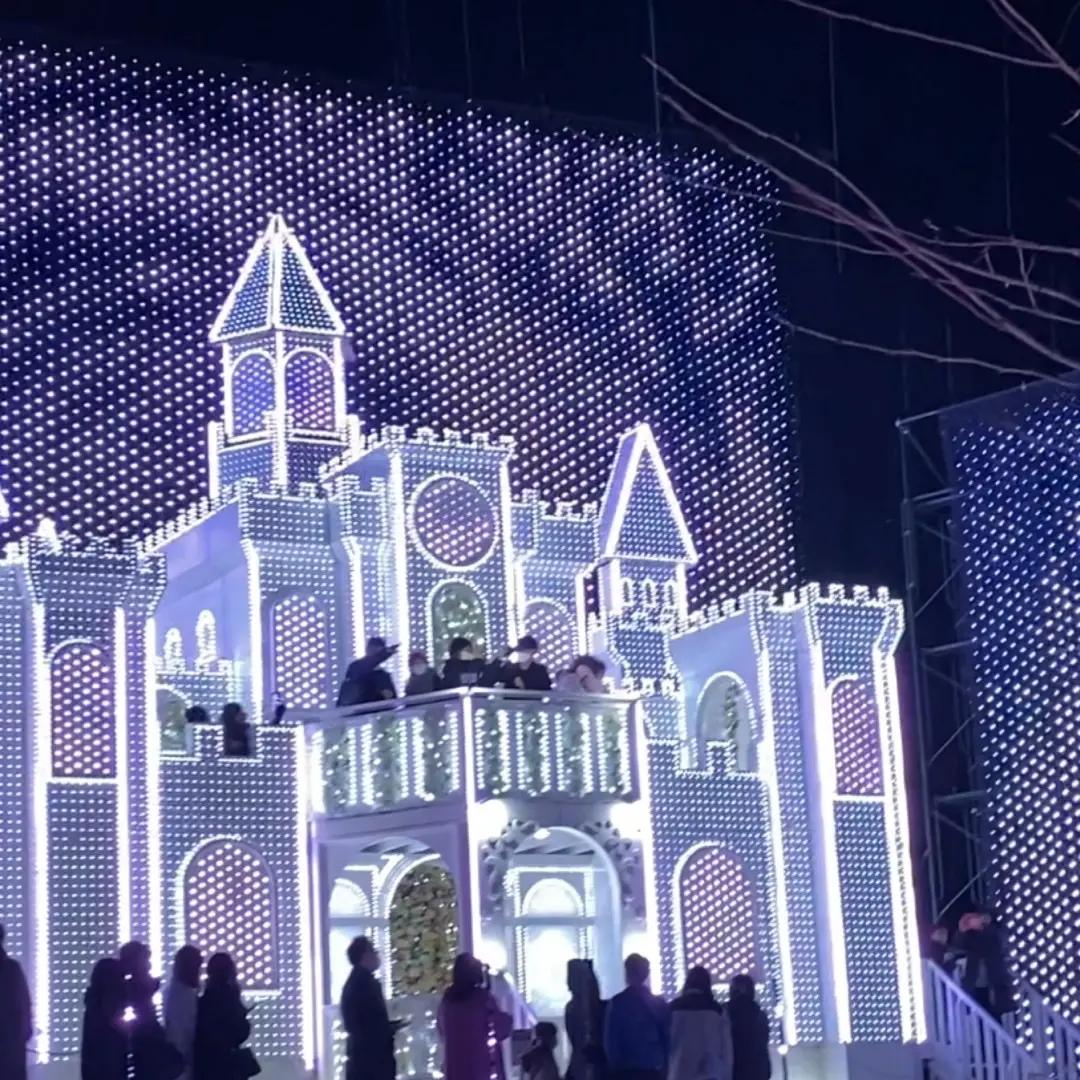 ルンルン気分で光の藤を見に♪の画像_7