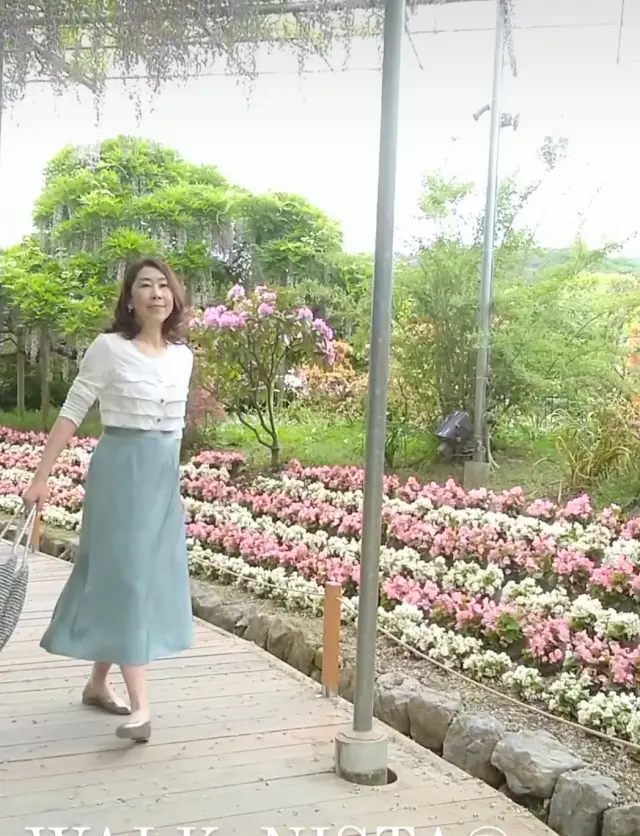 藤の花からバラへ❀フラワーパークを楽しむの画像_10