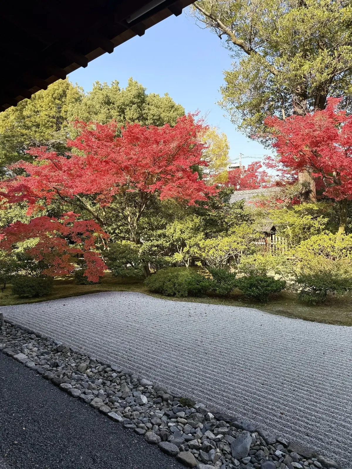 【大人の京都】寺院仏閣とお気に入りの秋のの画像_38