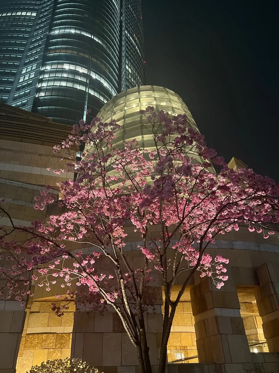 ジャケット2styles☆夜のお出かけの画像_12