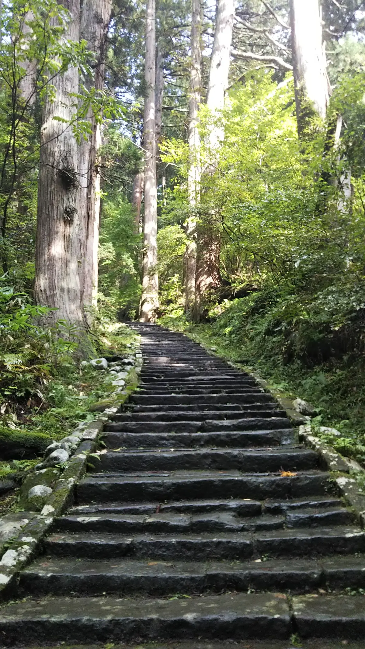 2,446段の石段と杉並木