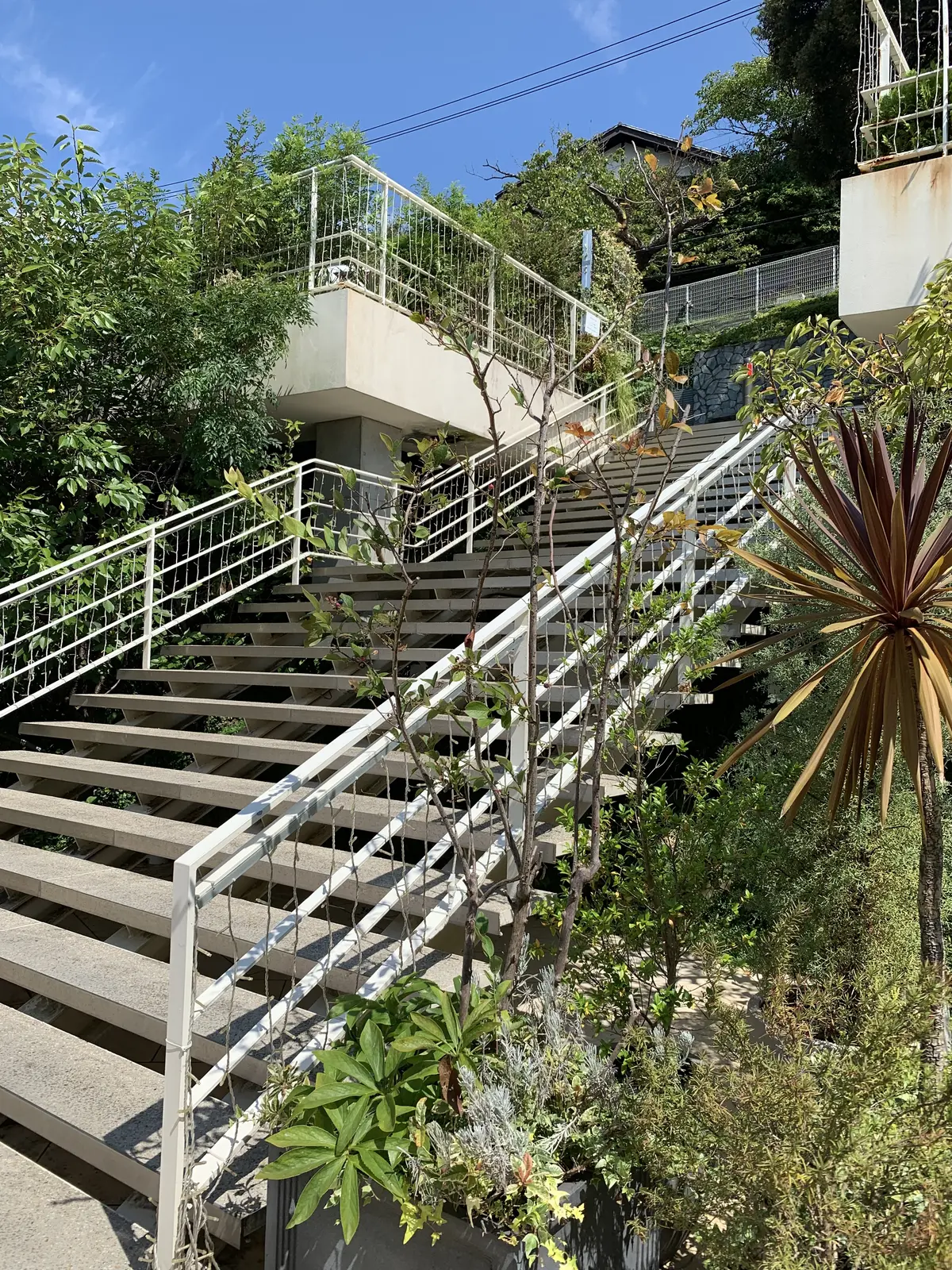 ル・ミリュウ 鎌倉山　(le milieu kamakurayama)  鎌倉カフェ　鎌倉山