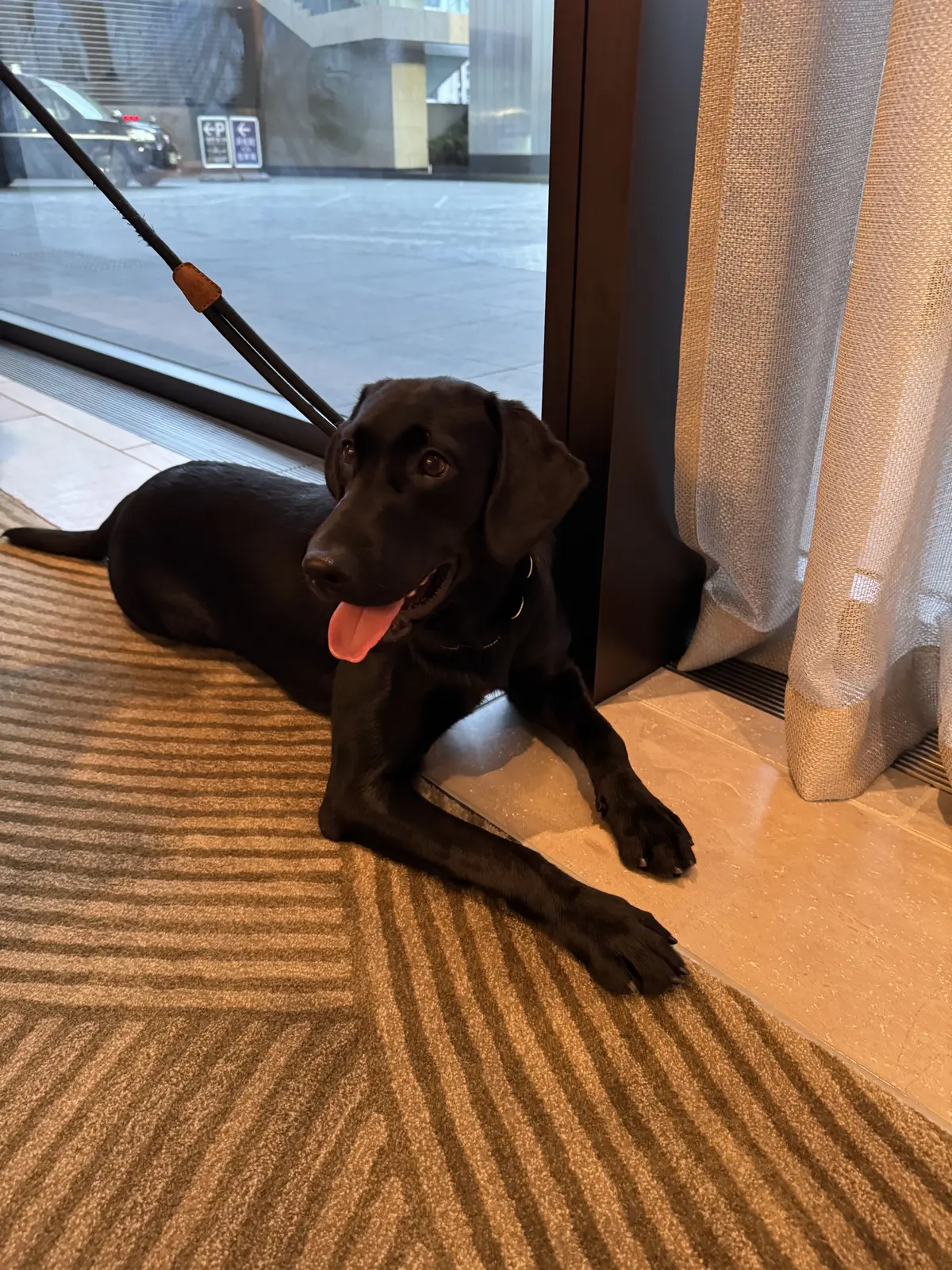 日本初上陸！フェアモント東京と最高ハピネの画像_2