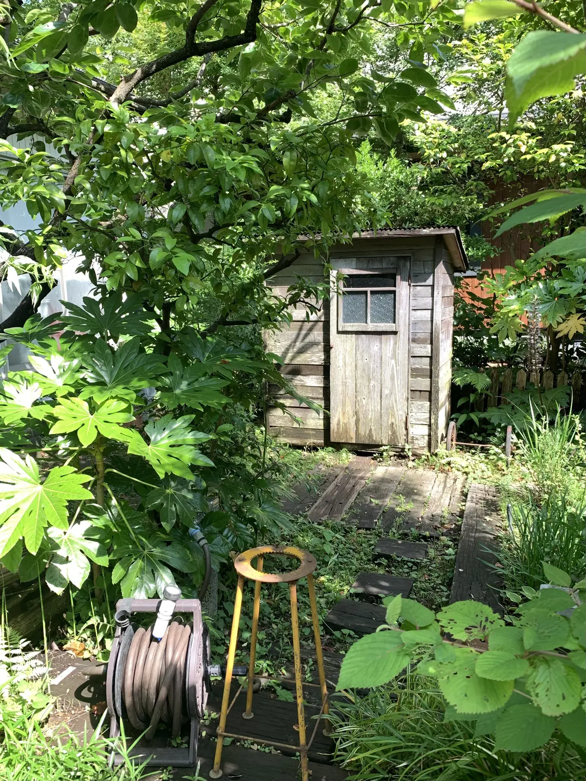 喫茶ミンカ　庭　古民家カフェ