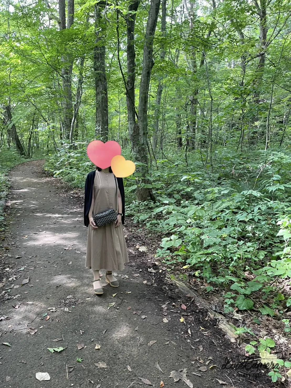 十和田神社　～東北屈指のパワースポット～の画像_5