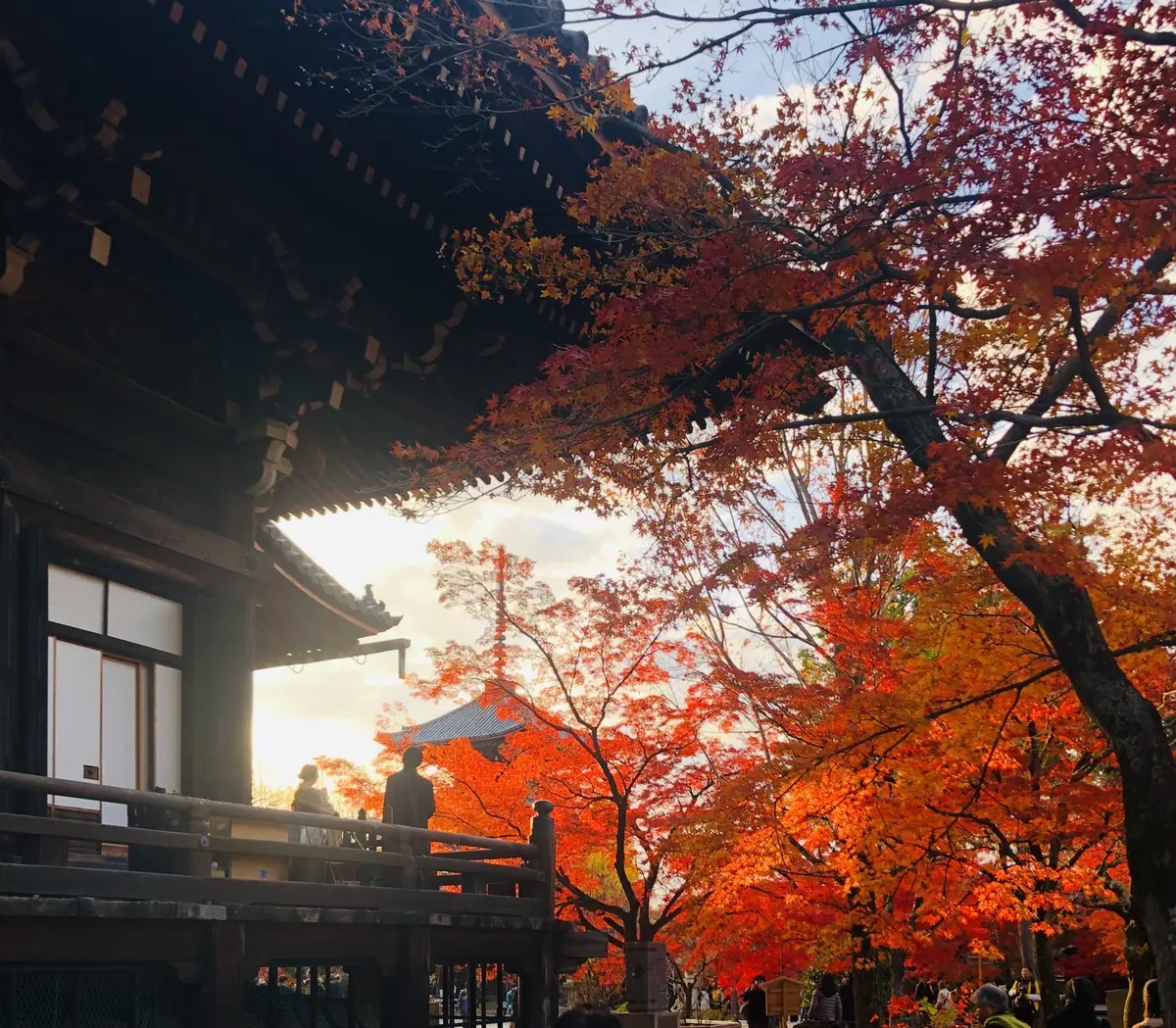 秋の景色を楽しむ♡京都の紅葉の画像_24