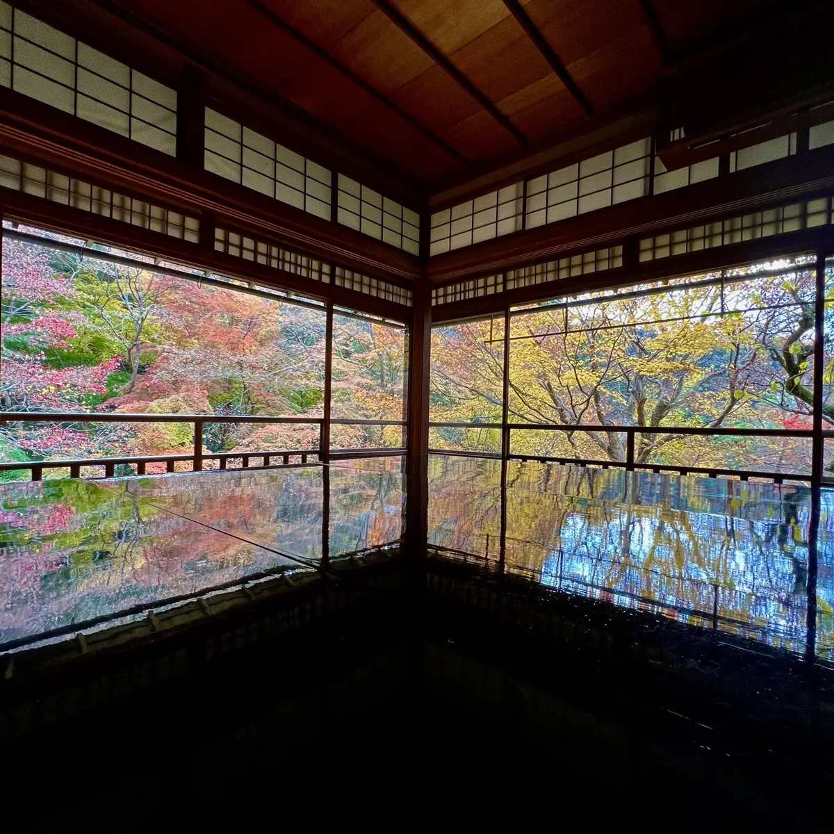 秋の景色を楽しむ♡京都の紅葉の画像_7