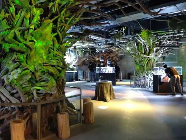 神戸　新感覚の都市型水族館アトアへの画像_2