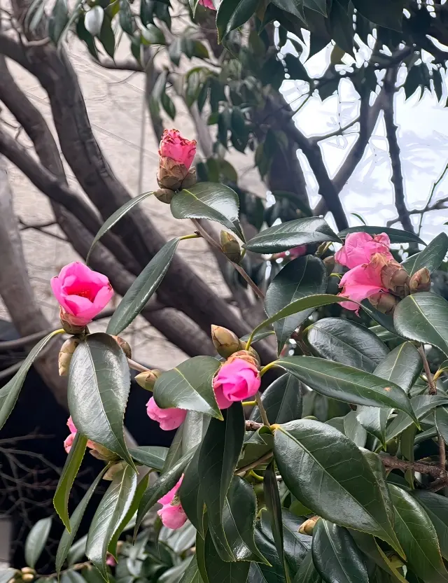 ネイビーコーデにニュアンカラーのピンクをの画像_5