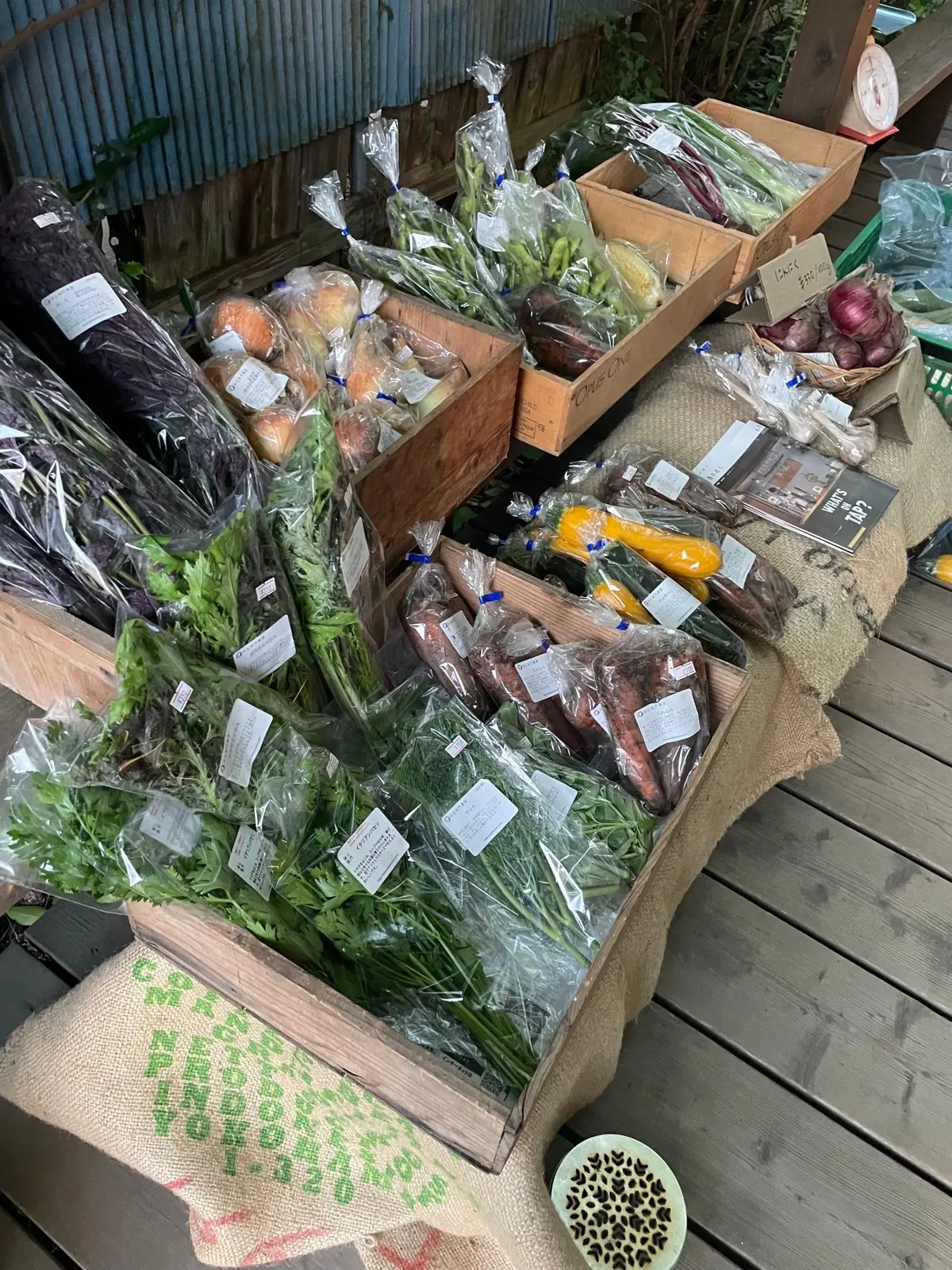 地元農家「柿右衛門農園」の美味しい有機野菜が買える松井陽子さんおすすめのショップ「KAMOSU」