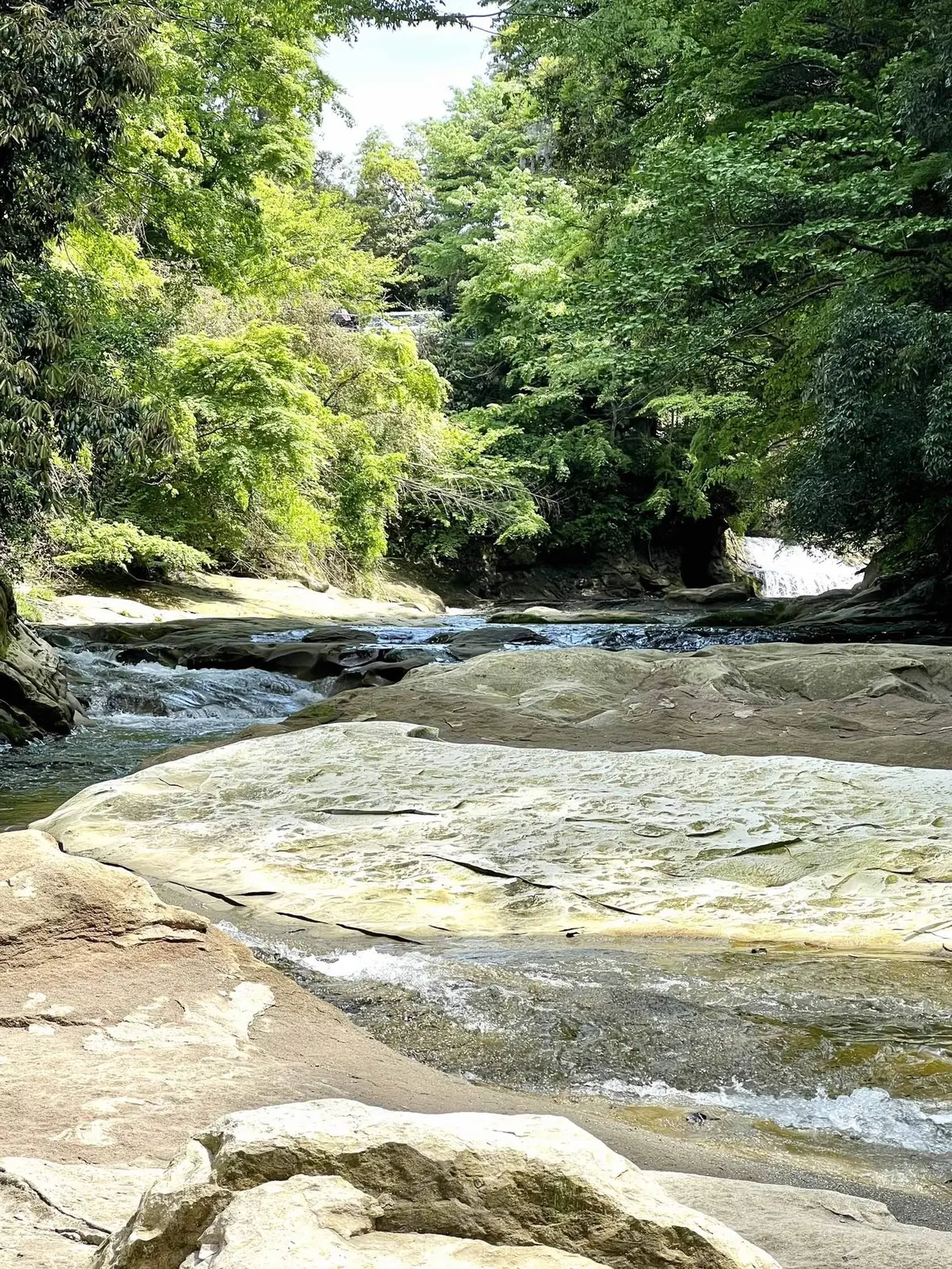 マイナスイオンたっぷりの自然の中で癒されの画像_3