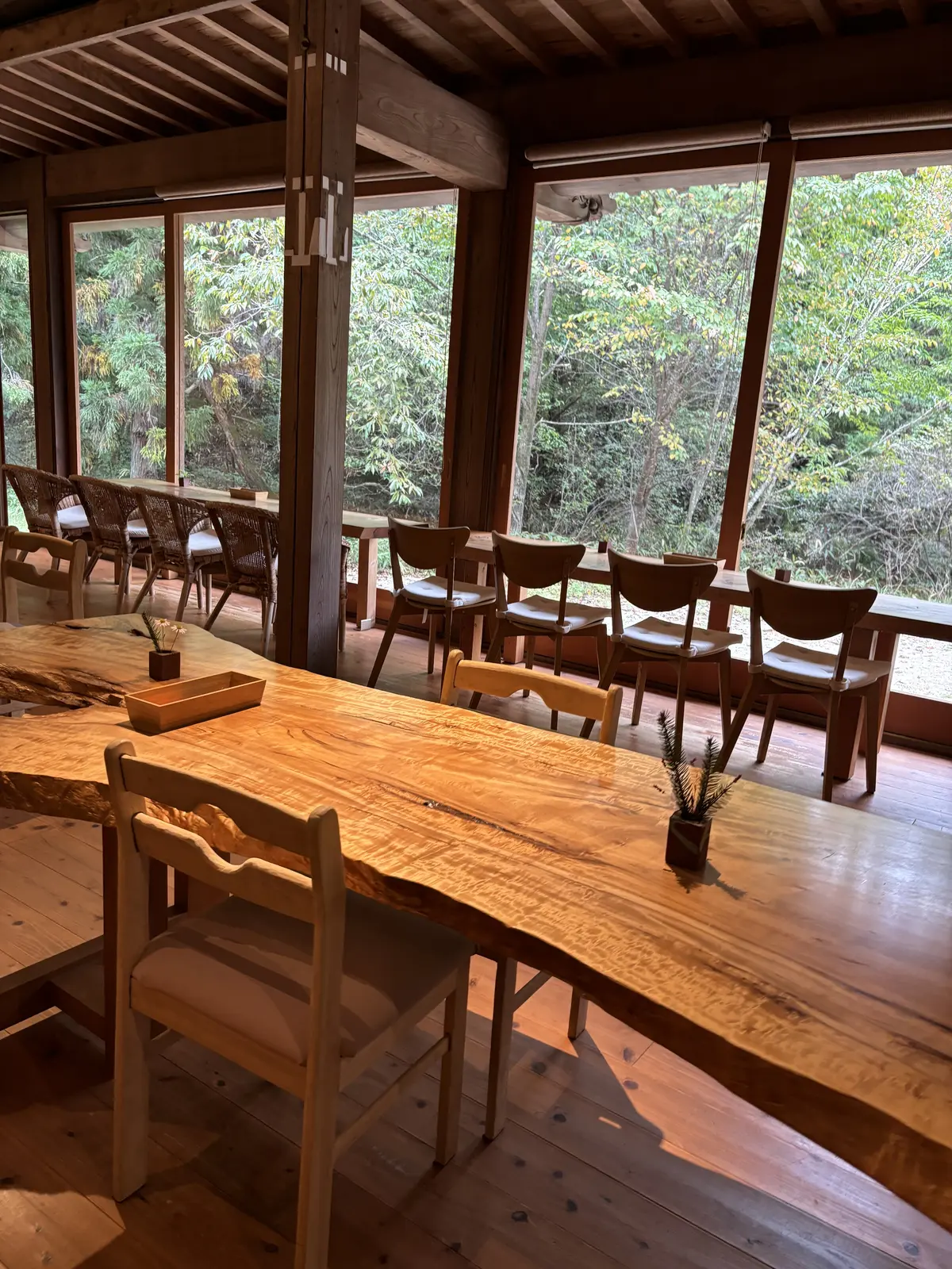 予約困難な滋賀・信楽のタルトのお店への画像_10