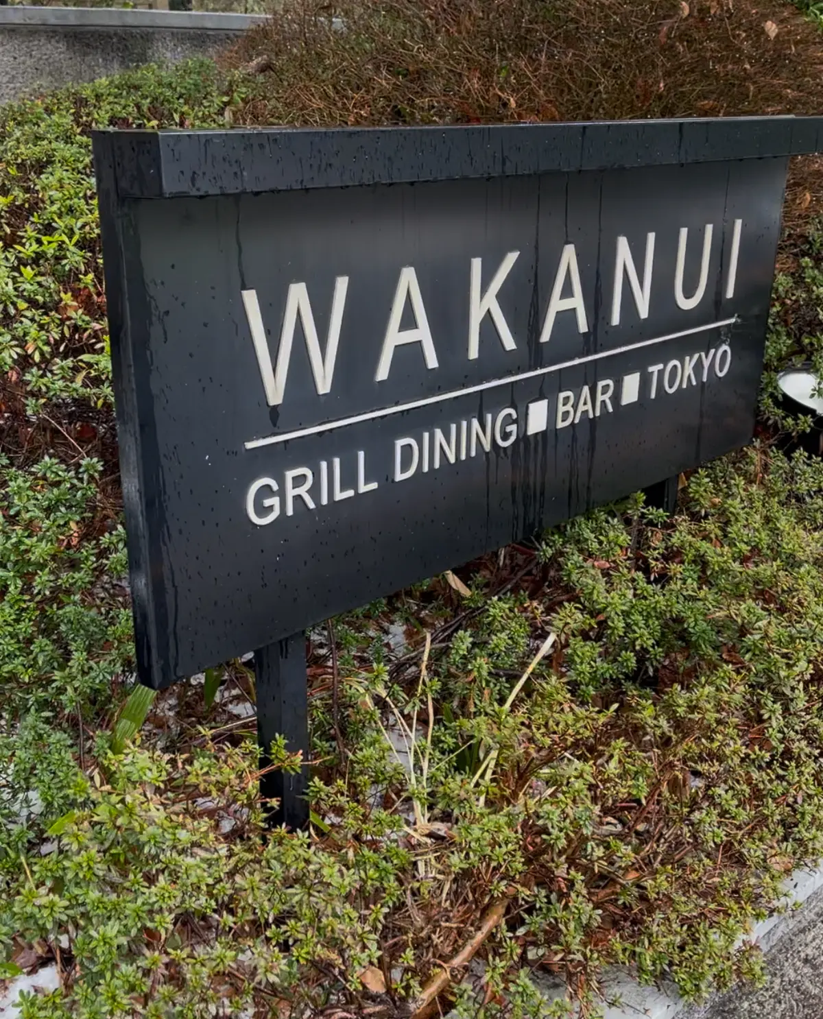 ブラック✖️イエローコーデで東京タワーをの画像_1