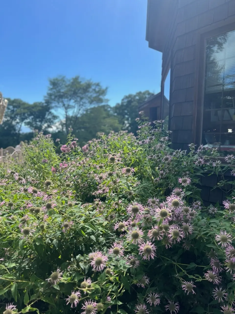 日帰りドライブ♪初めての清里の画像_9