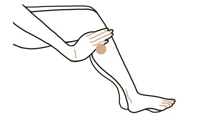 膝の外側の下にあるくぼみから、手の人さし指から小指までをそろえた幅の分、下がったところが足三里。左右にある。ここを押す。