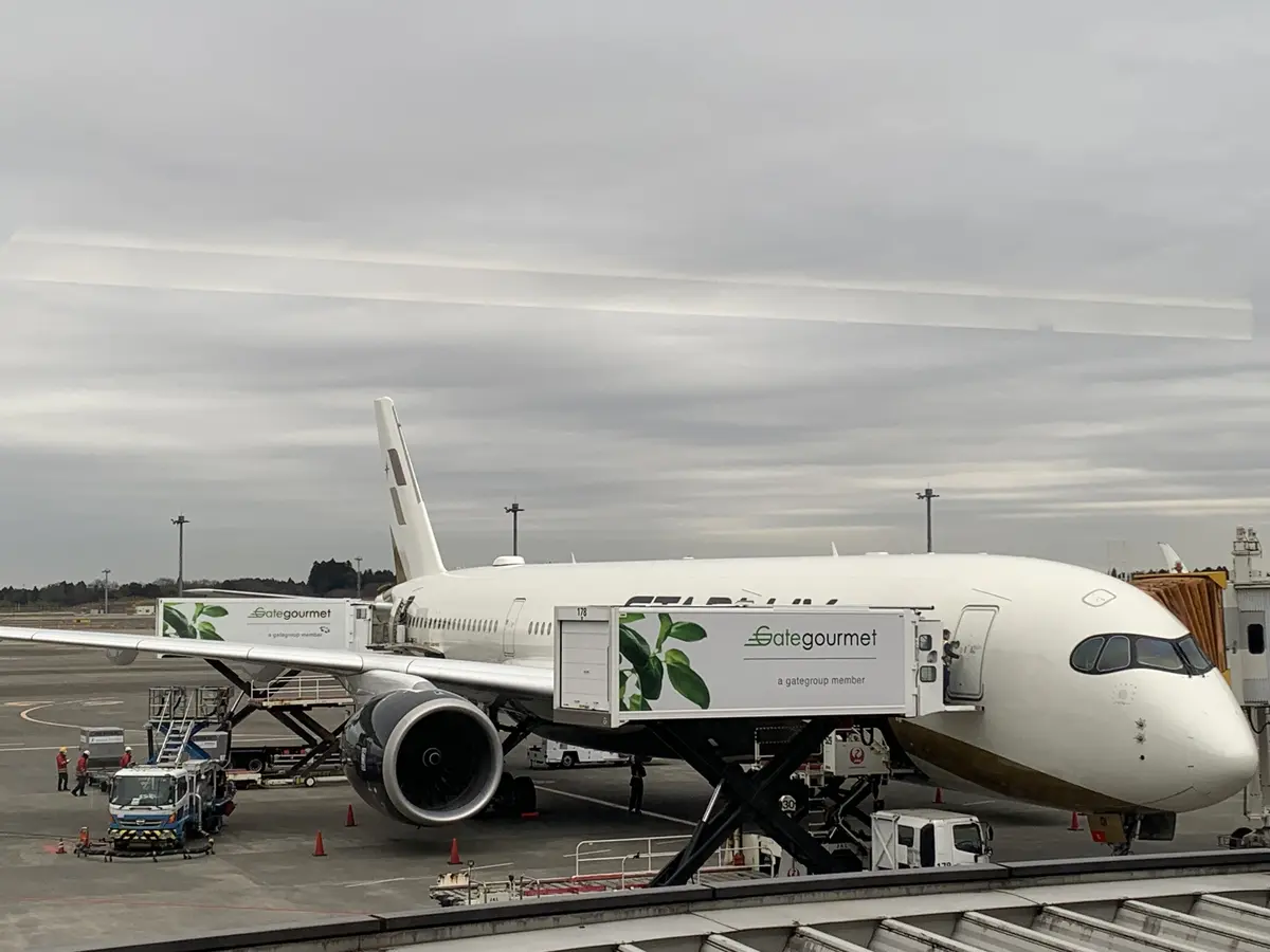 スターラックス航空機体