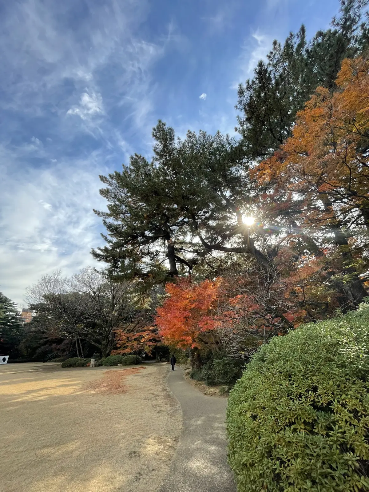 東京庭園美術館