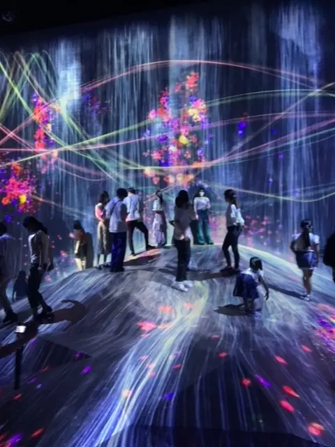 チームラボボーダレス①の画像_4