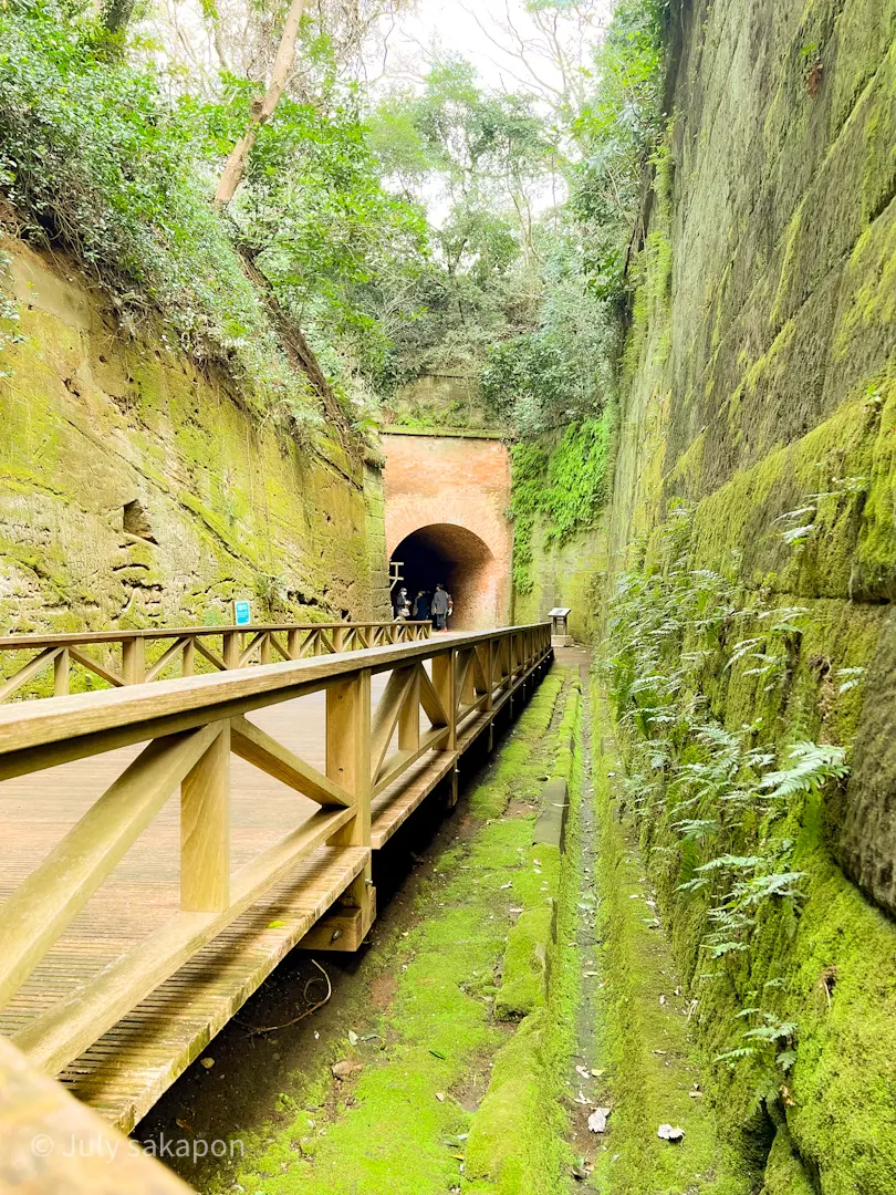【さかぽんの冒険】前編☆無人島で奇跡のラの画像_18