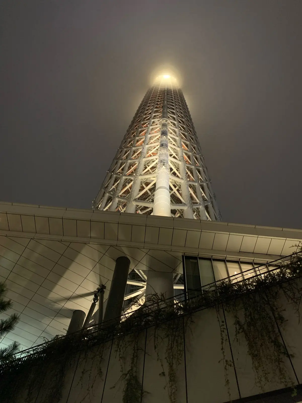 ムーミンタイムの画像_3