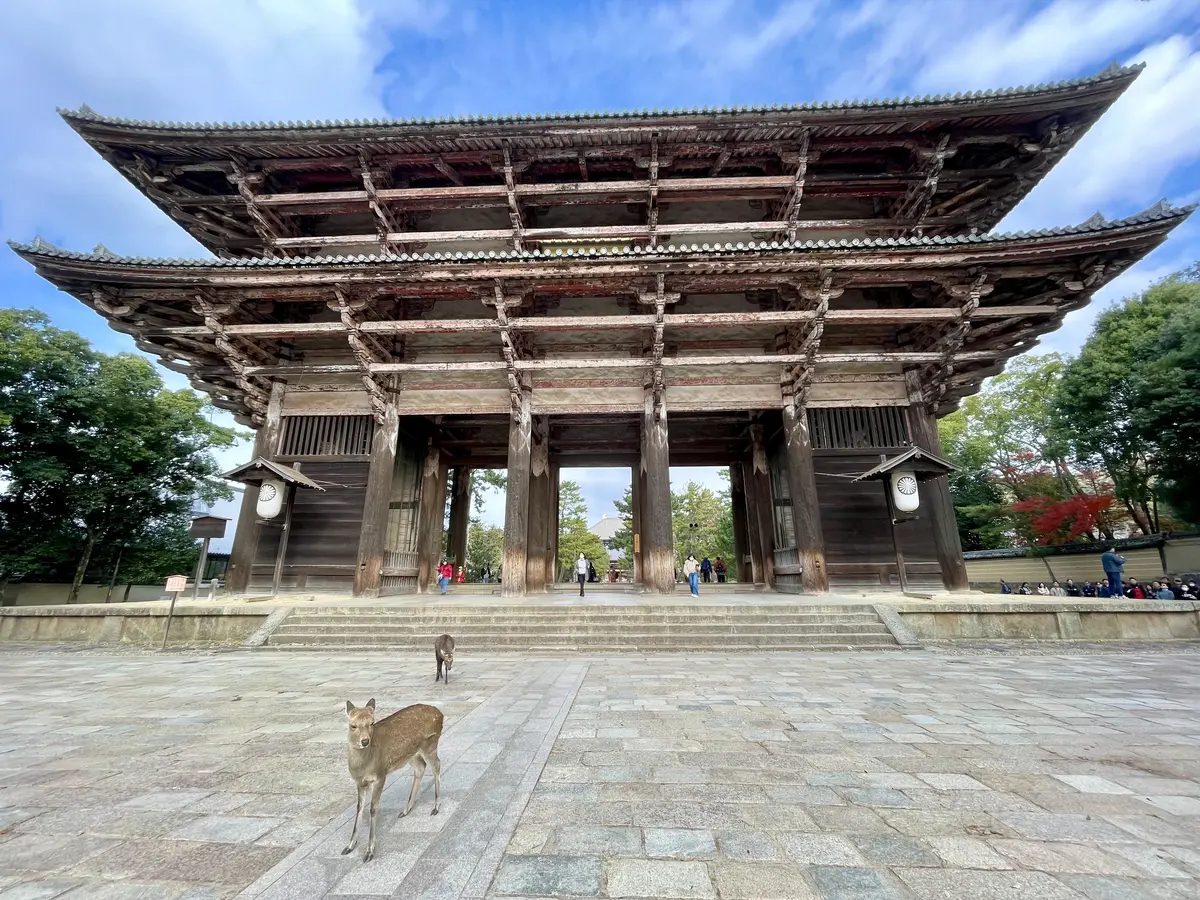 東大寺南大門