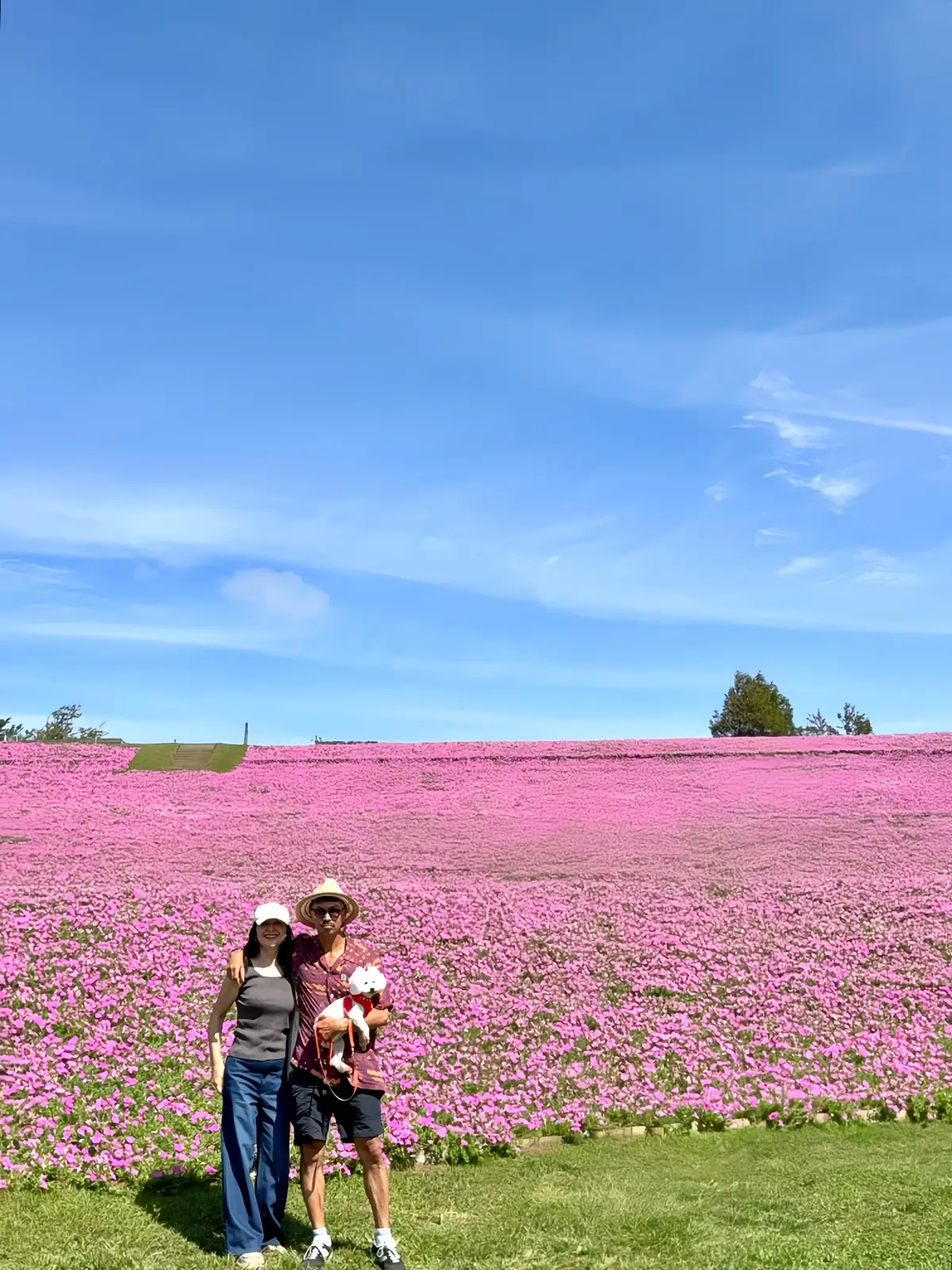千葉県　観光名所　富津市　マザー牧場　花の谷　桃色吐息　セルフ用カメラ台利用
