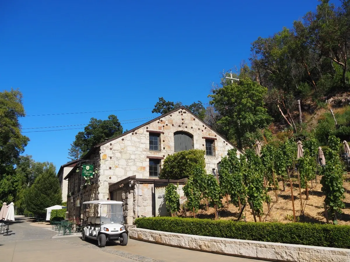 30年の時を経て…　San Franciの画像_2