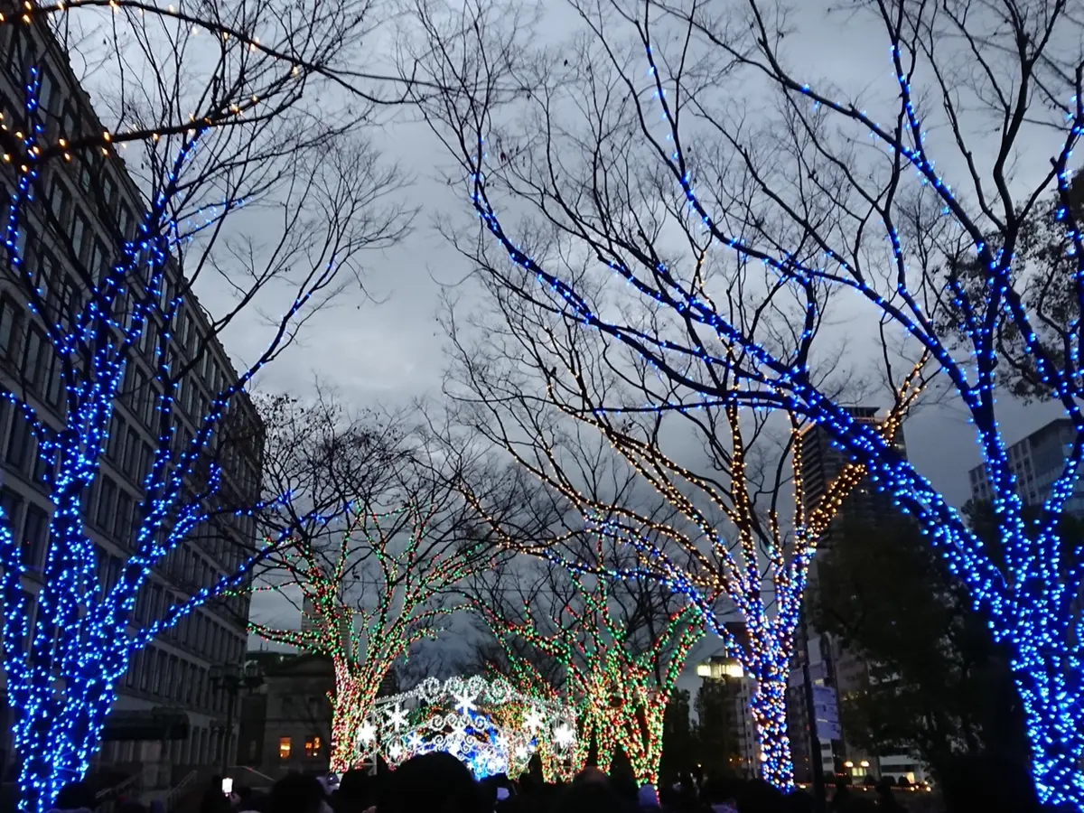 大阪市役所   御堂筋イルミネーション