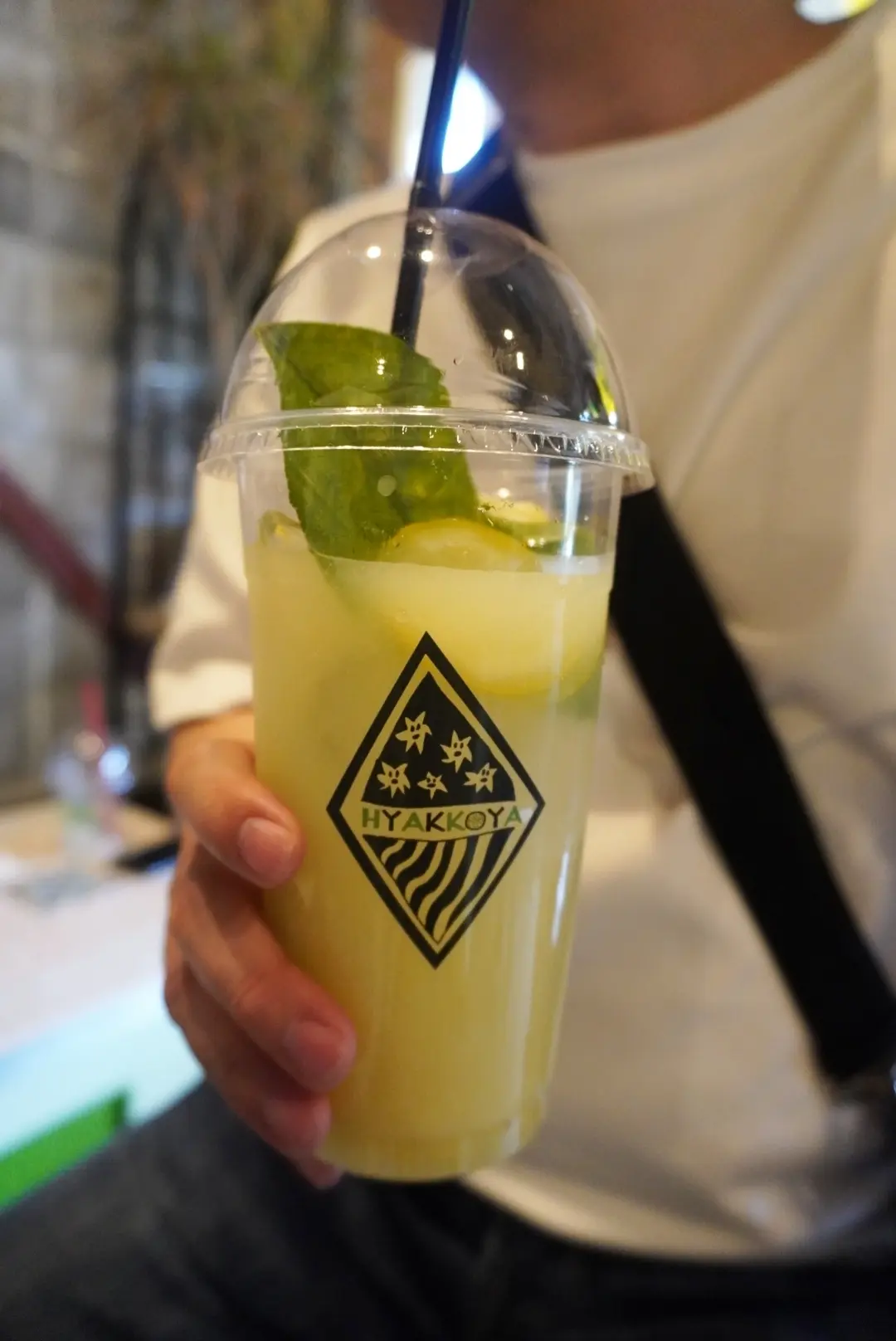 耕三寺・未来心の丘から人生最高のレモネーの画像_23