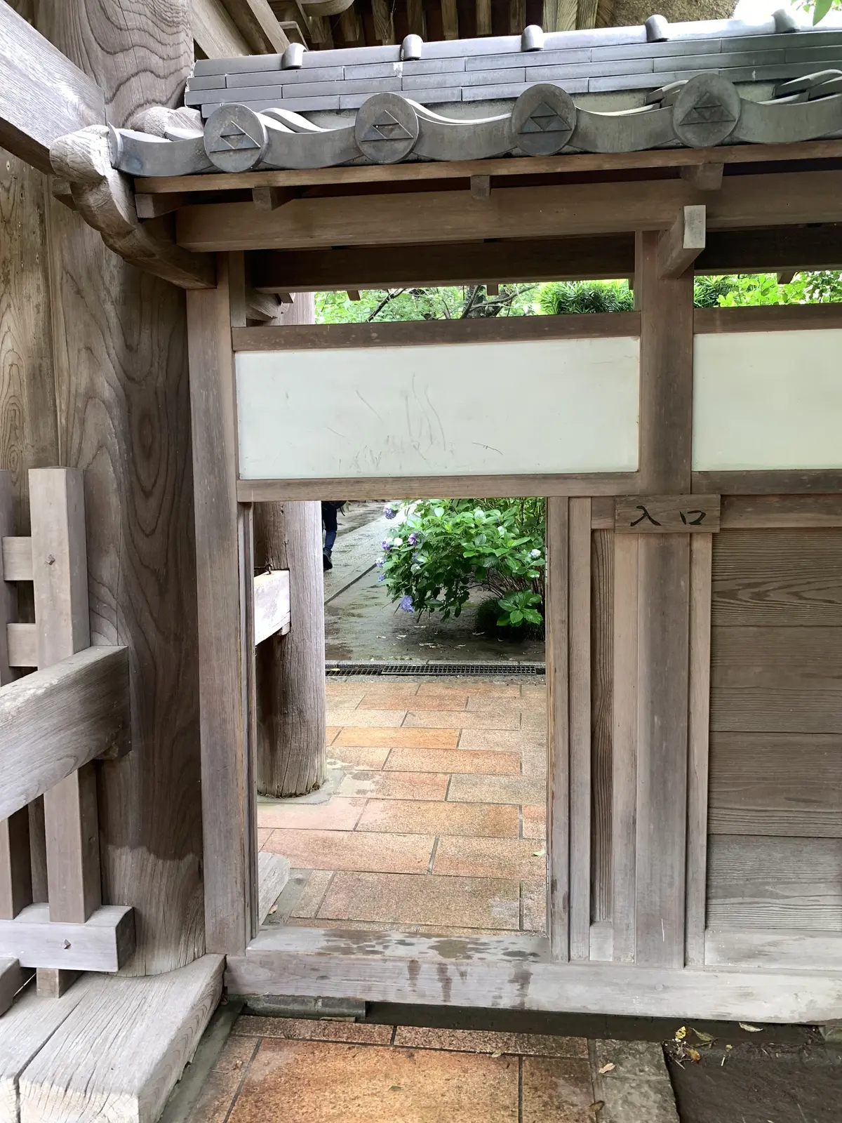 極楽寺　入口　紫陽花