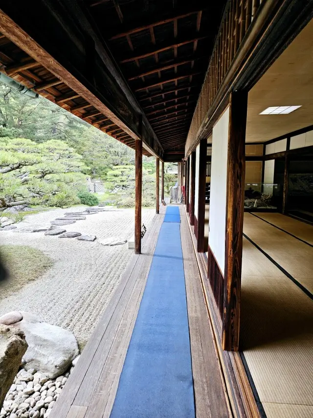 満開の栗林公園への画像_7