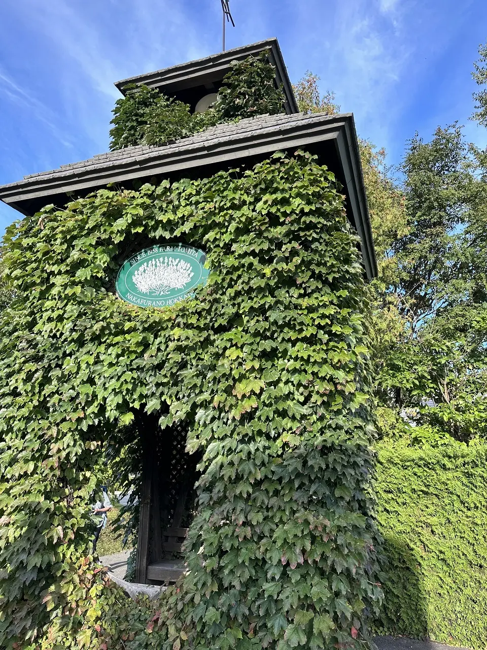 雄大な大地北海道へ行ってきました。の画像_5