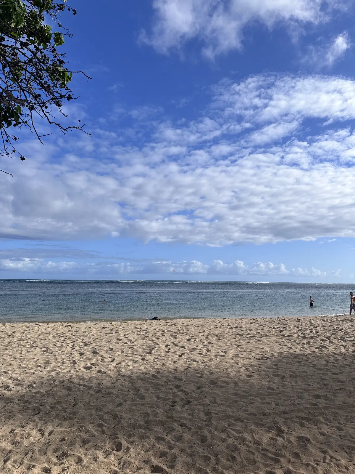 Hawaiiオアフ島へ家族旅行の画像_7