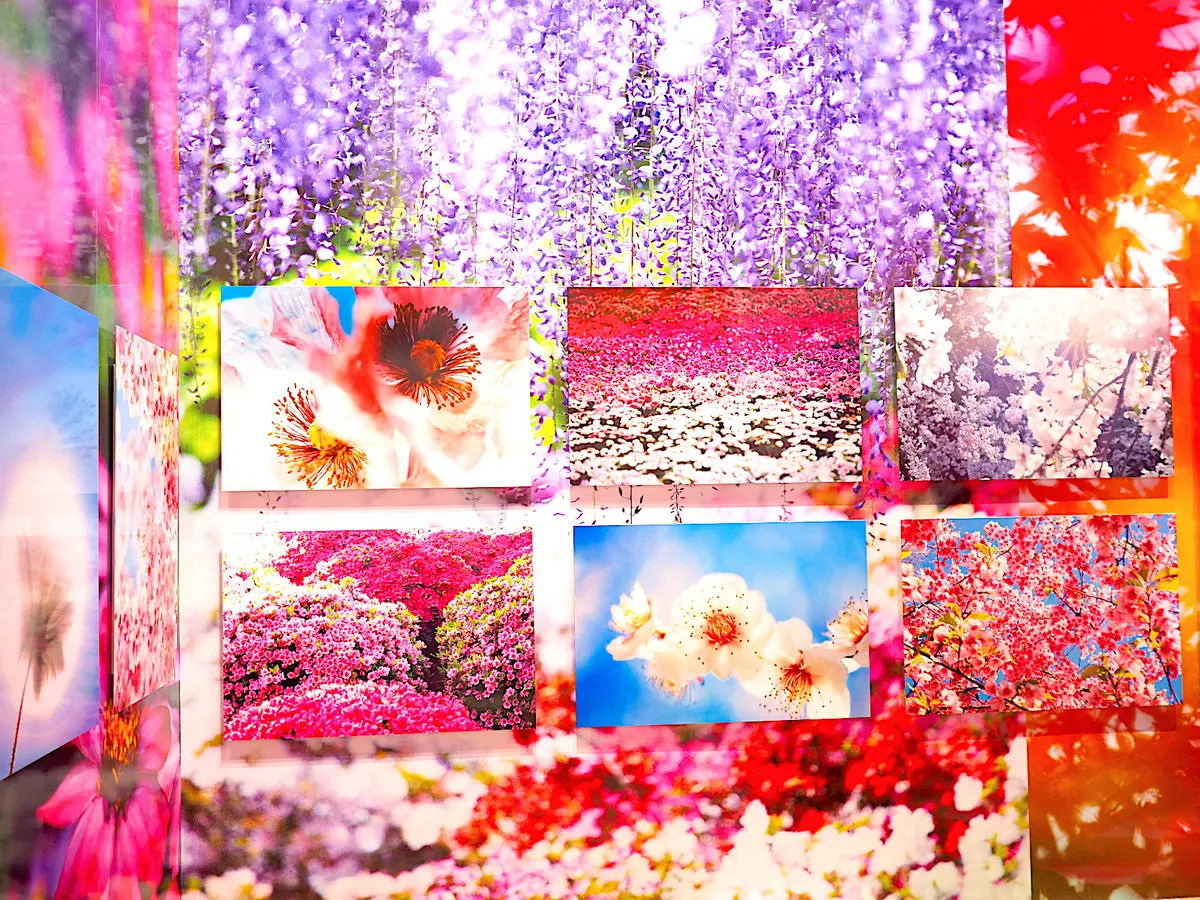 初夏の白ワンピコーデでぎふワールド・ローの画像_5