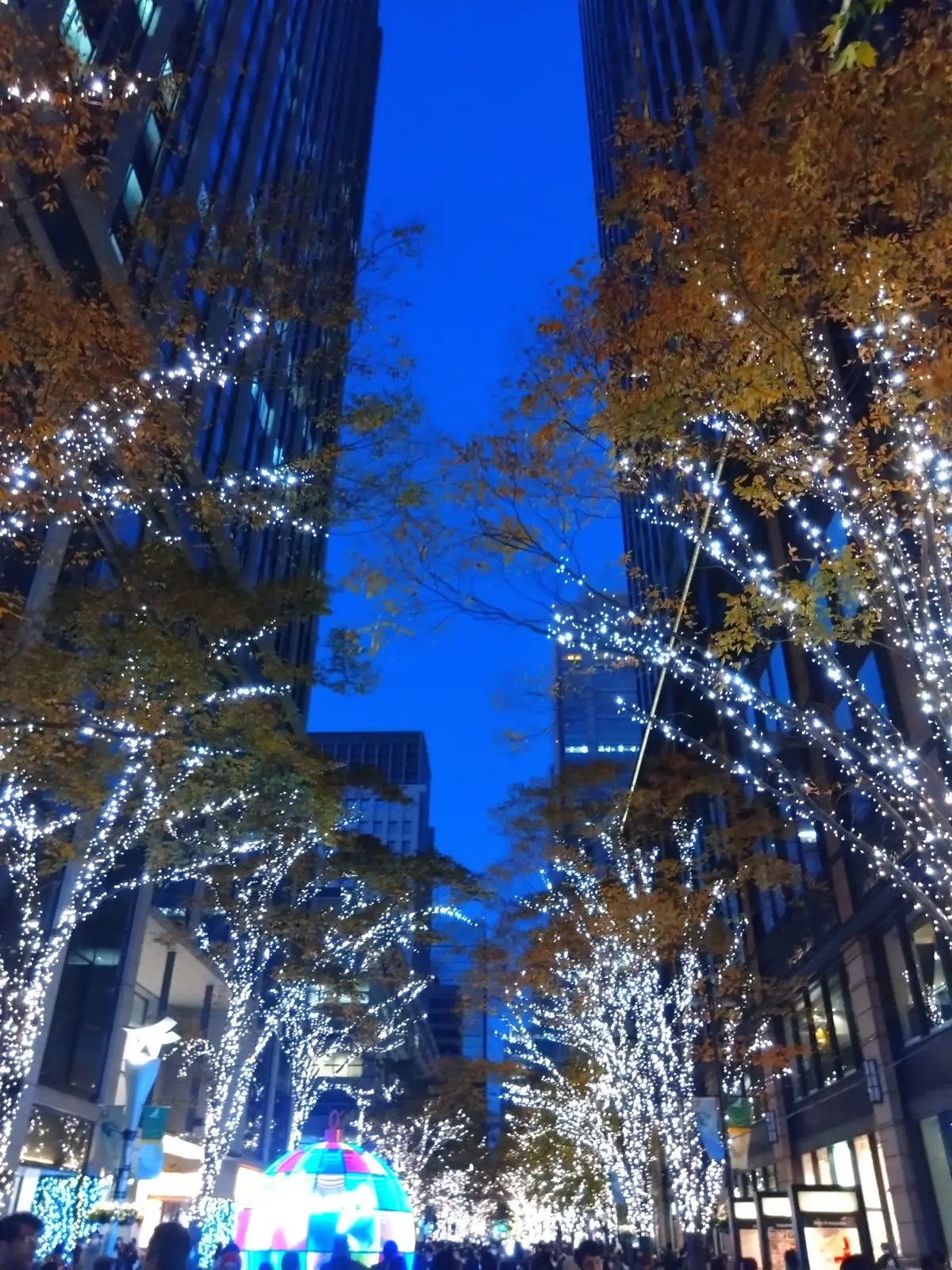 丸の内仲通り、イルミネーション、丸の内クリスマス